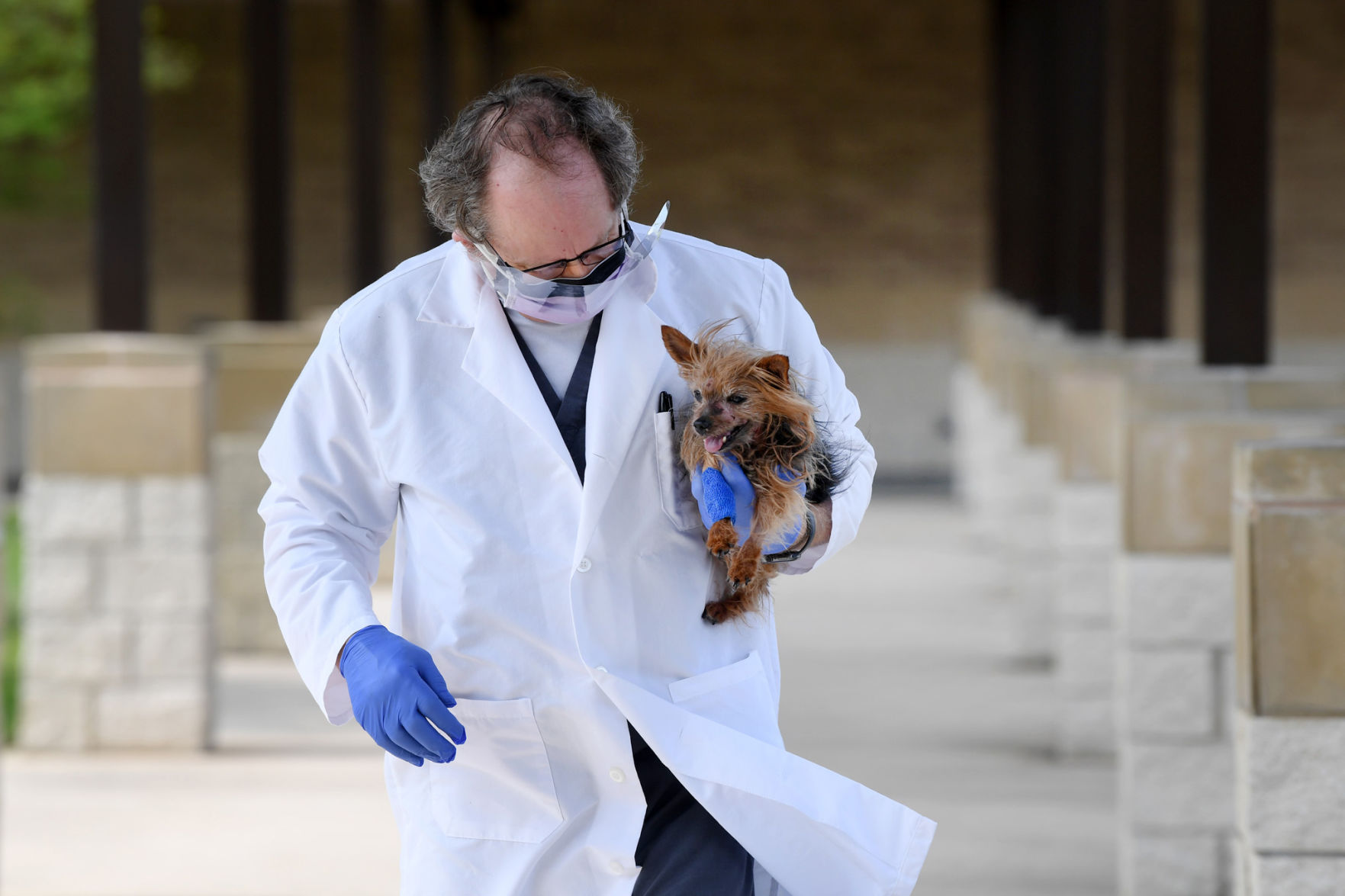 Texas A&M Veterinary Medicine Teaching Hospital